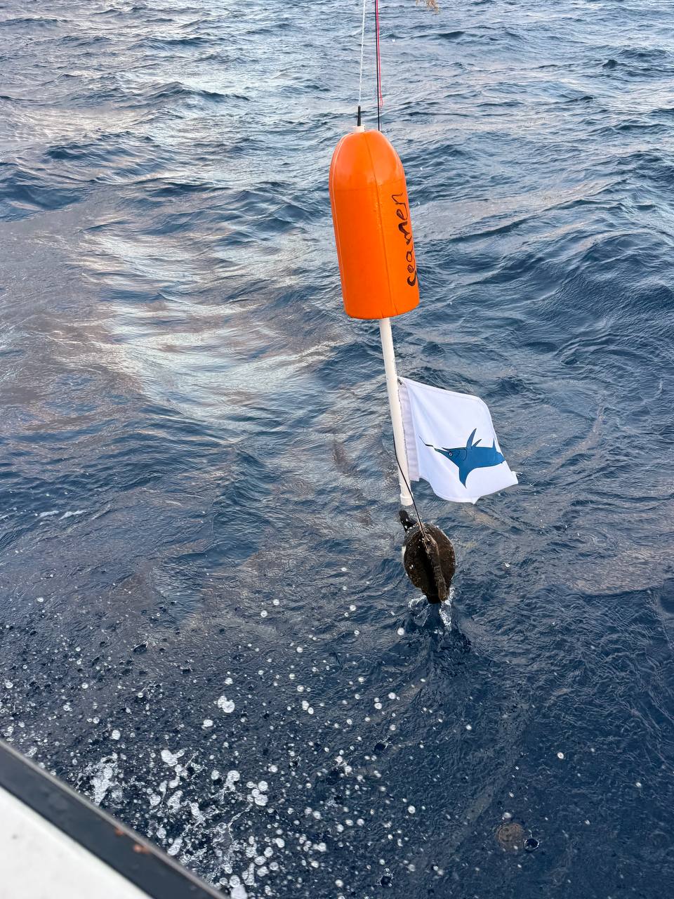 Miss Penny deck crew holding a swordfish during a memorable offshore trip with friends